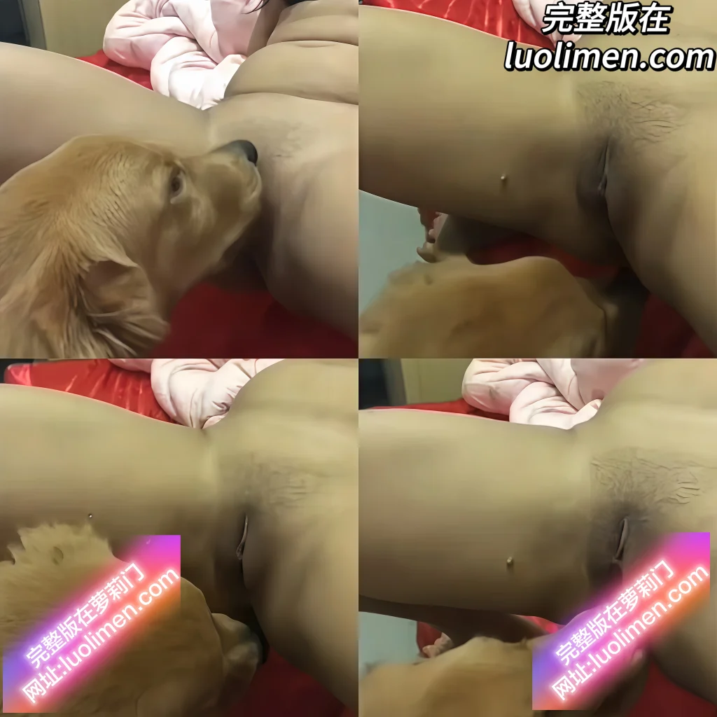 人兽大战 - 人兽交配主人张开大腿爱犬舌舔嫩穴享受资源-幼萝萌妹